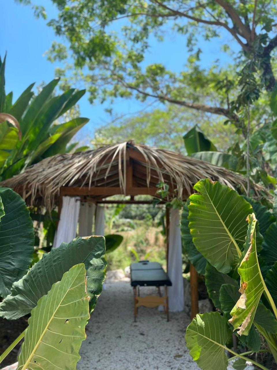 הוסטל Playa Hermosa Cobano Dream Surf House Santa Teresa מראה חיצוני תמונה