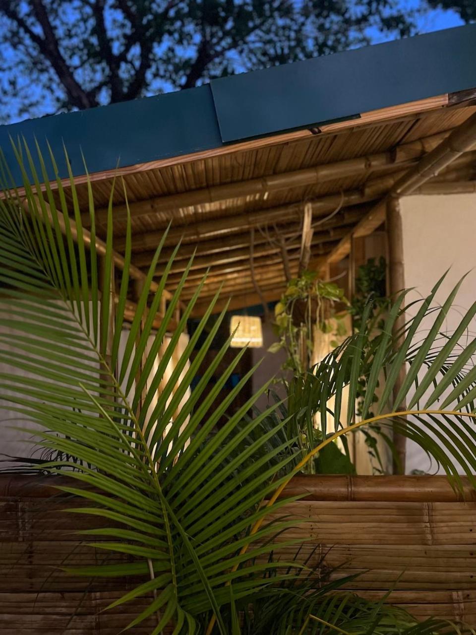 הוסטל Playa Hermosa Cobano Dream Surf House Santa Teresa מראה חיצוני תמונה