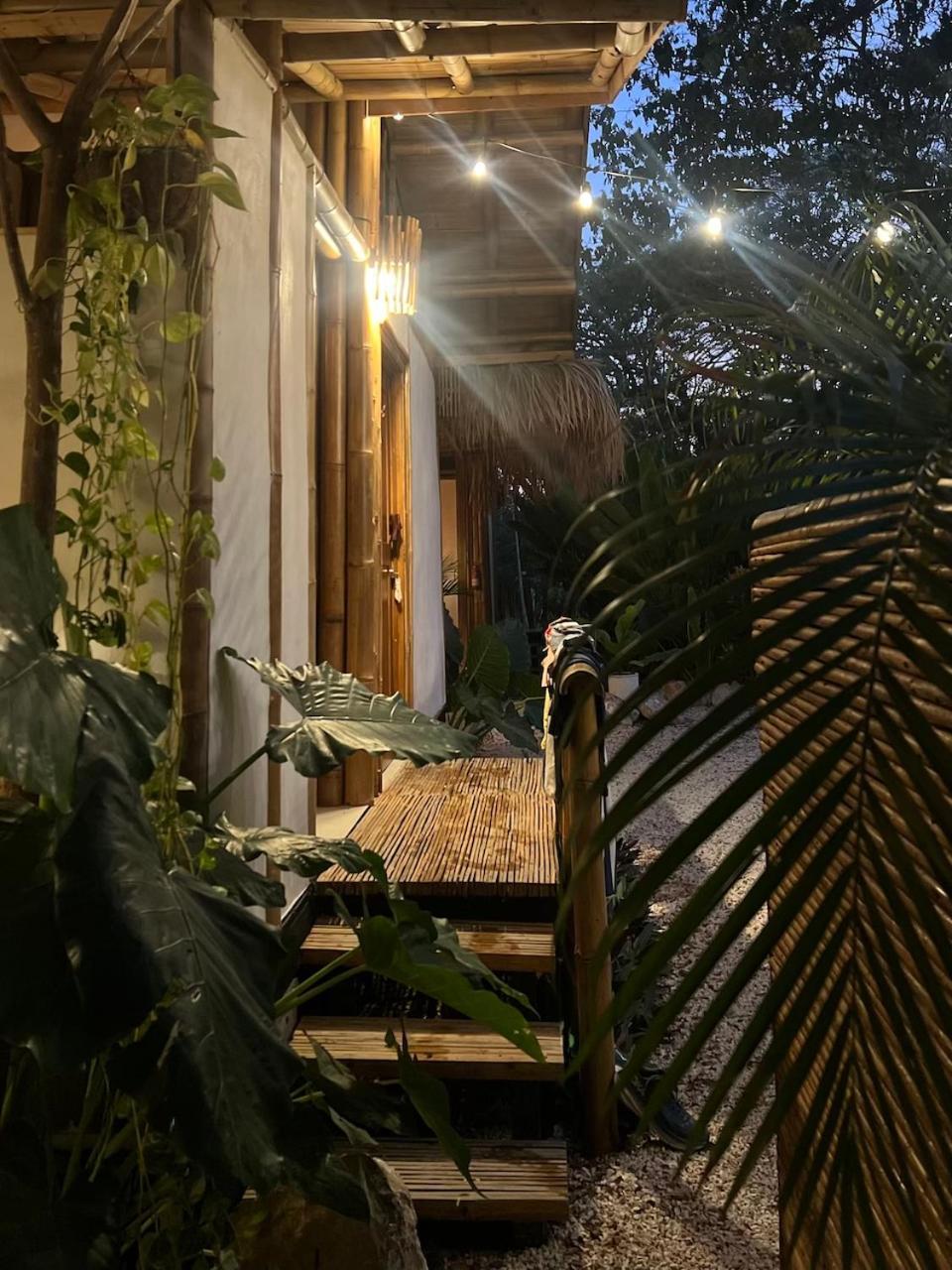הוסטל Playa Hermosa Cobano Dream Surf House Santa Teresa מראה חיצוני תמונה