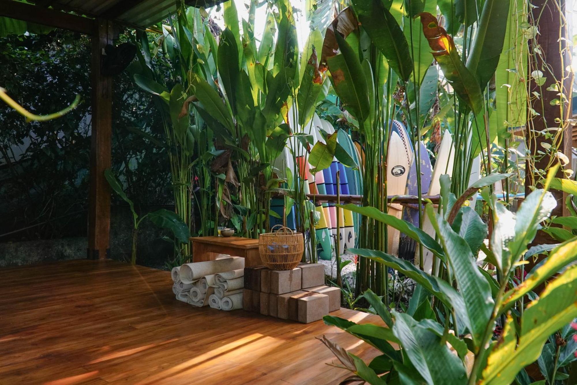 הוסטל Playa Hermosa Cobano Dream Surf House Santa Teresa מראה חיצוני תמונה