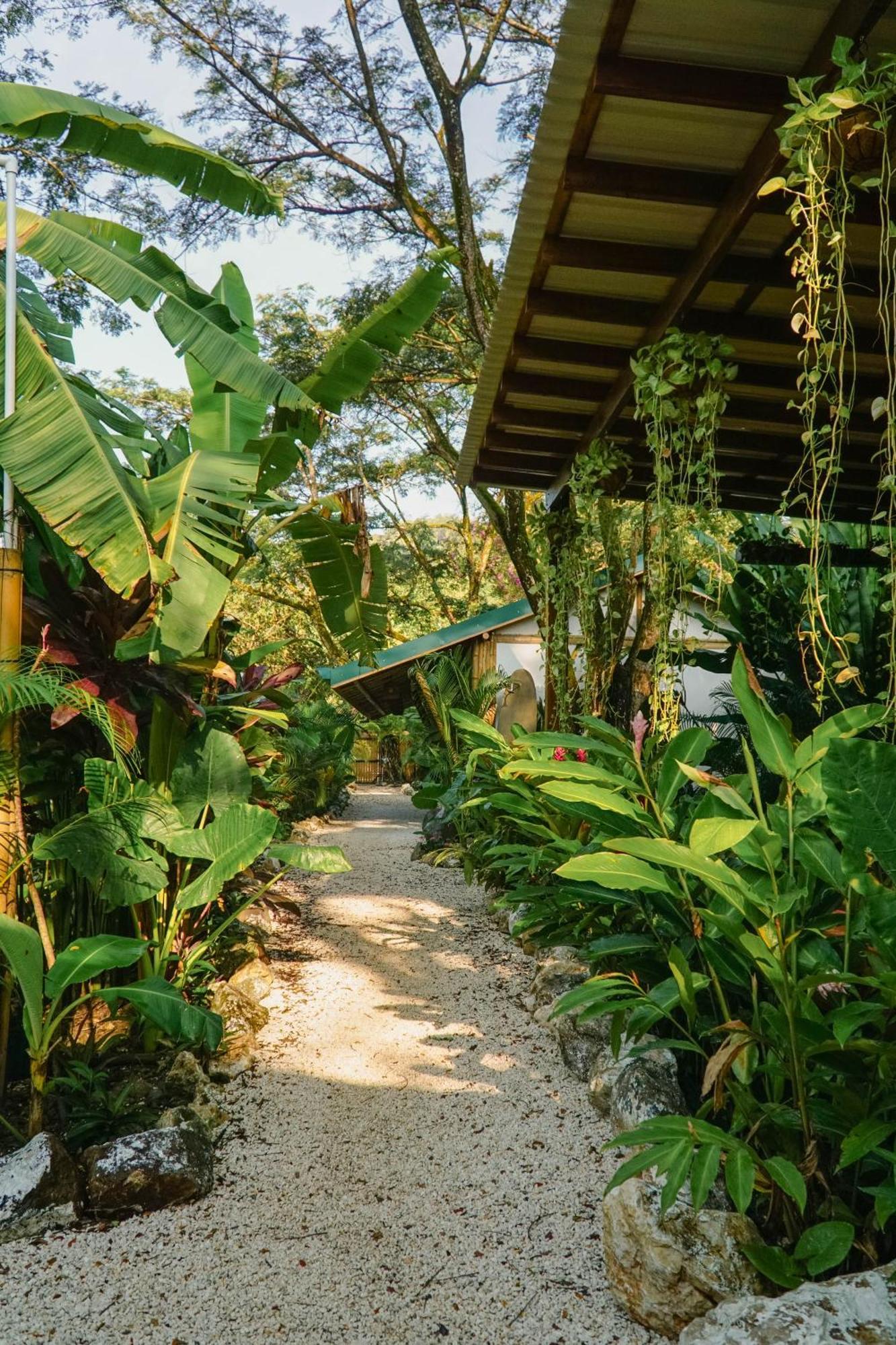 הוסטל Playa Hermosa Cobano Dream Surf House Santa Teresa מראה חיצוני תמונה