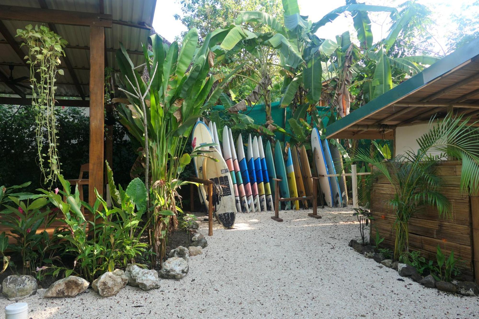 הוסטל Playa Hermosa Cobano Dream Surf House Santa Teresa מראה חיצוני תמונה
